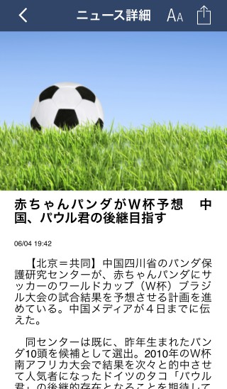 nikkei_Wcup_003.jpg