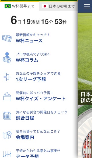 nikkei_Wcup_004.jpg