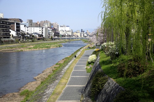 news_0605_kamogawa_1.jpg