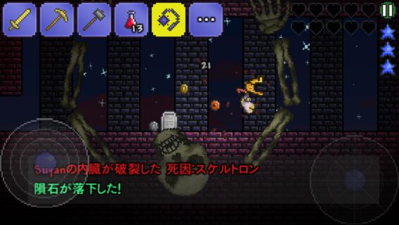 2014_terraria4_009.jpg