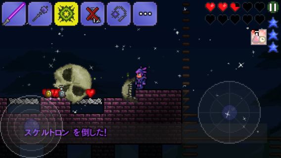 2014_terraria4_010.jpg