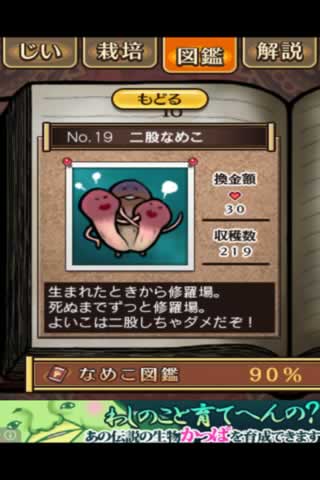 nameko19.jpg